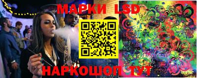 амф Донской