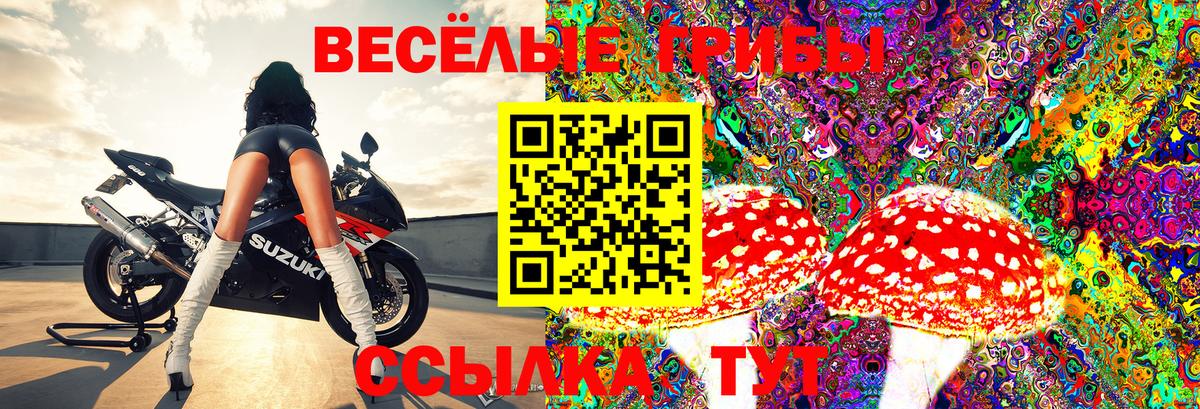 Лесозаводск  Галлюциногенные грибы мицелий  Галлюциногенные грибы Cubensis  Вход с VPN 