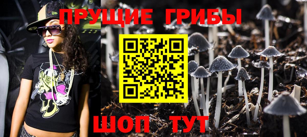 Галлюциногенные грибы GOLDEN TEACHER Лесозаводск